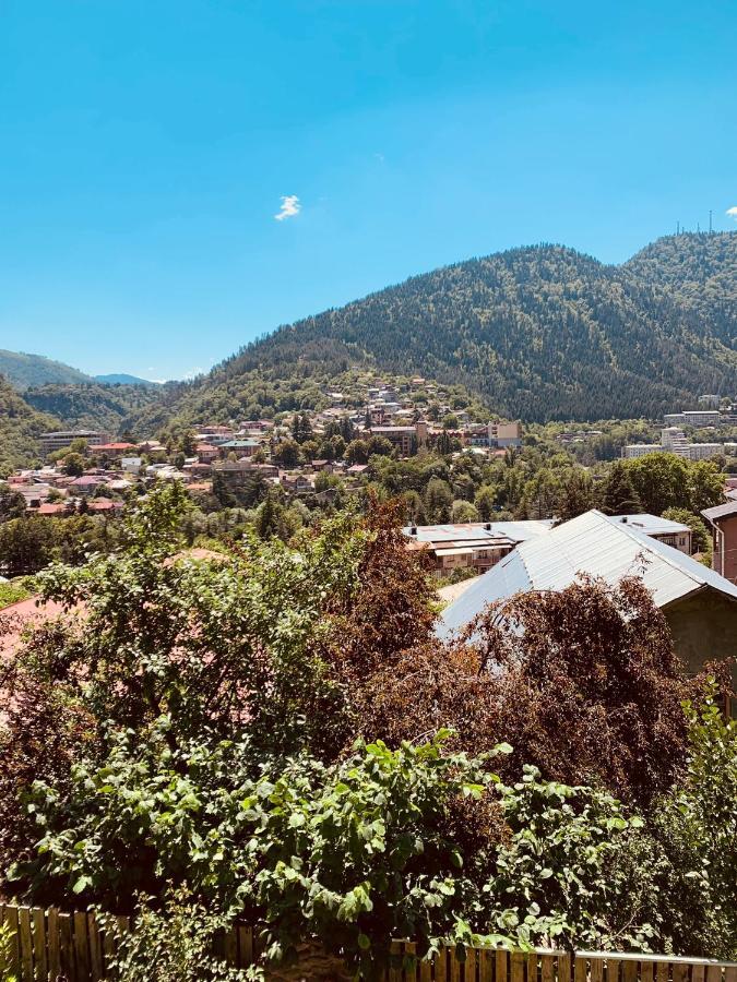 Apartmán Ano'A Bordžomi Exteriér fotografie