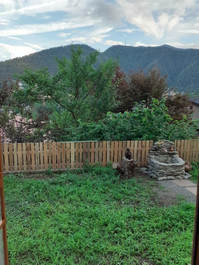 Apartmán Ano'A Bordžomi Exteriér fotografie