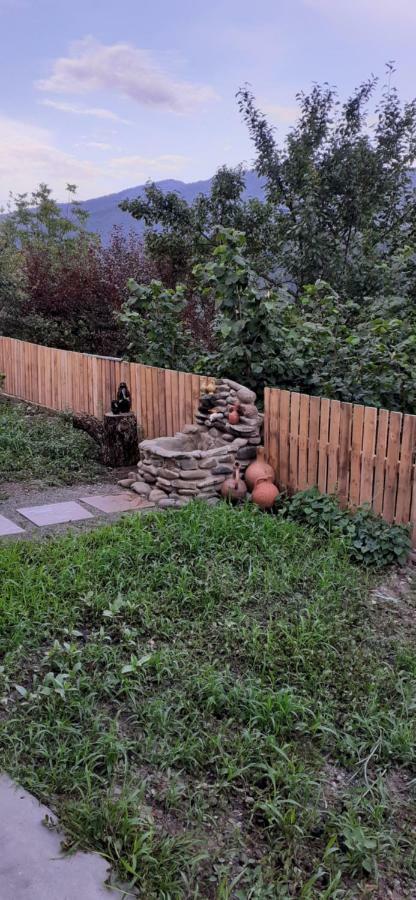 Apartmán Ano'A Bordžomi Exteriér fotografie